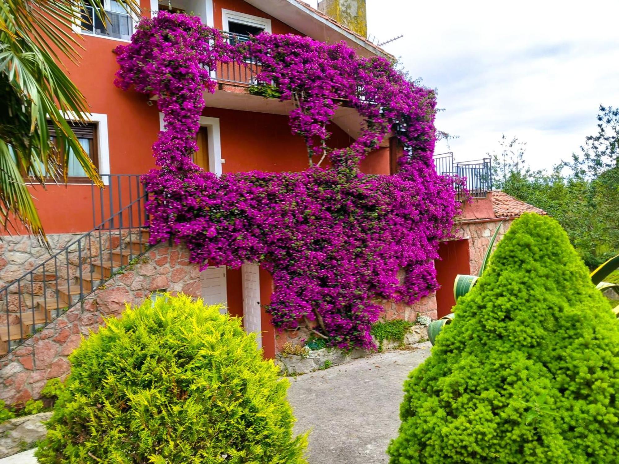 Apartamentos Mariaje Barro  Exterior photo